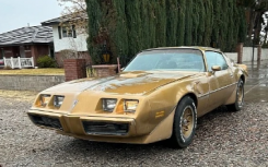 1979 年庞蒂亚克 Trans Am 炫耀工厂 V8 