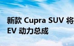 新款 Cupra SUV 将提供轻度混合动力和 PHEV 动力总成