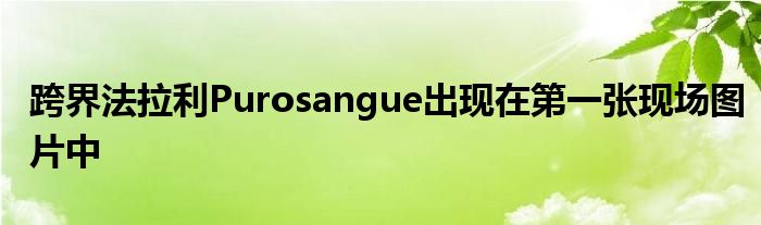 跨界法拉利Purosangue出现在第一张现场图片中