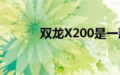 双龙X200是一款厚实的概念车