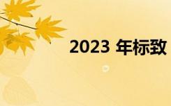 2023 年标致 408 即将亮相