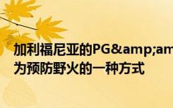 加利福尼亚的PG&amp;E将测试福特闪电电动汽车作为预防野火的一种方式