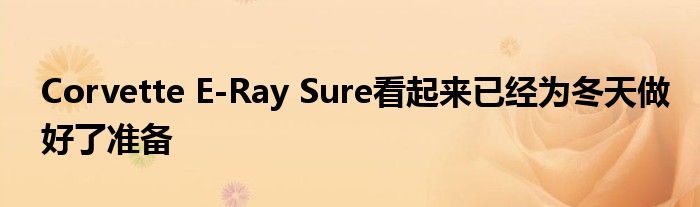 Corvette E-Ray Sure看起来已经为冬天做好了准备