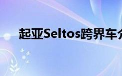 起亚Seltos跨界车介绍将出现在俄罗斯