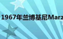 1967年兰博基尼Marzal概念车再次公开亮相