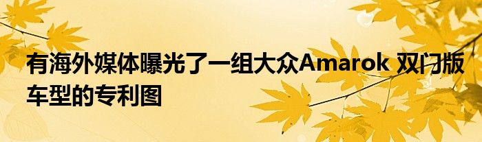 有海外媒体曝光了一组大众Amarok 双门版车型的专利图