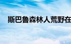 斯巴鲁森林人荒野在正式亮相前打破封面