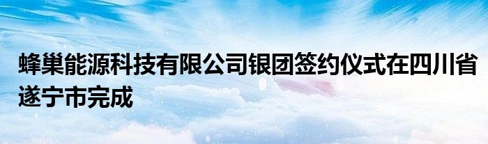 蜂巢能源科技有限公司银团签约仪式在四川省遂宁市完成