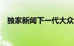 独家新闻下一代大众高尔夫Mk8完全隐匿