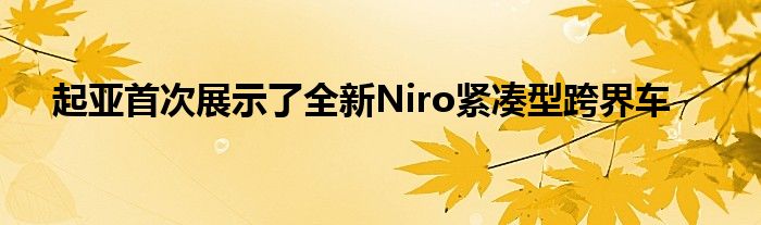 起亚首次展示了全新Niro紧凑型跨界车