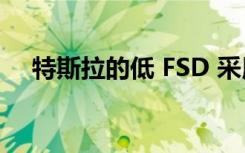 特斯拉的低 FSD 采用率提供了增长机会