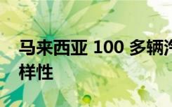 马来西亚 100 多辆汽车收藏品的稀有性和多样性