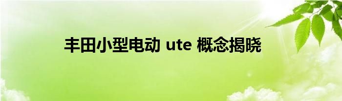 丰田小型电动 ute 概念揭晓