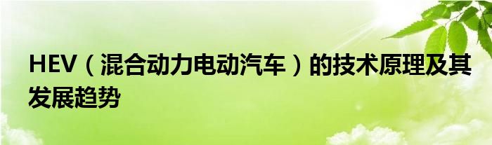 HEV（混合动力电动汽车）的技术原理及其发展趋势