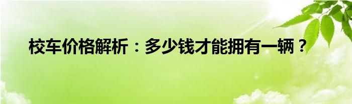 校车价格解析：多少钱才能拥有一辆？