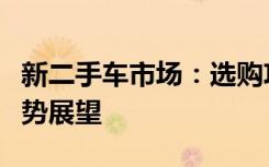 新二手车市场：选购攻略、注意事项及未来趋势展望