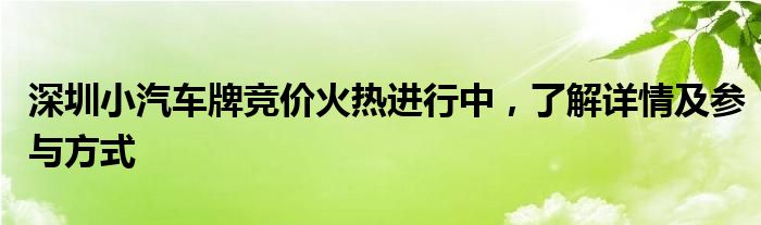 深圳小汽车牌竞价火热进行中，了解详情及参与方式