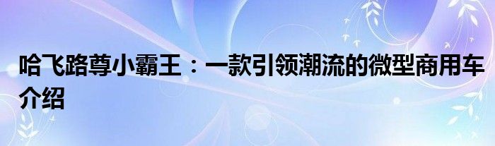 哈飞路尊小霸王：一款引领潮流的微型商用车介绍