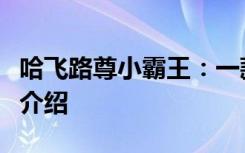 哈飞路尊小霸王：一款引领潮流的微型商用车介绍