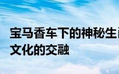 宝马香车下的神秘生肖：探索高端奢华与生肖文化的交融