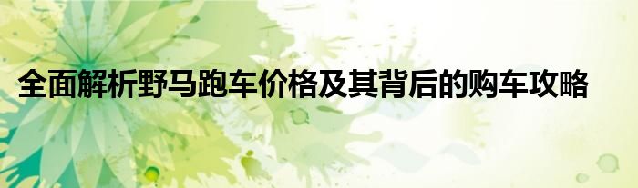 全面解析野马跑车价格及其背后的购车攻略