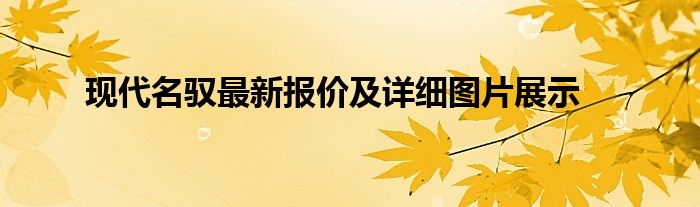 现代名驭最新报价及详细图片展示