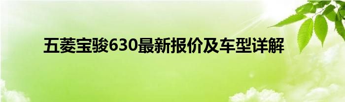 五菱宝骏630最新报价及车型详解