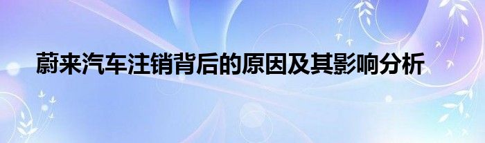 蔚来汽车注销背后的原因及其影响分析