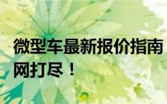 微型车最新报价指南：从价格到配置，这里一网打尽！