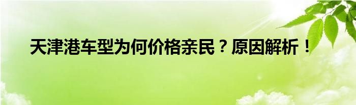 天津港车型为何价格亲民？原因解析！