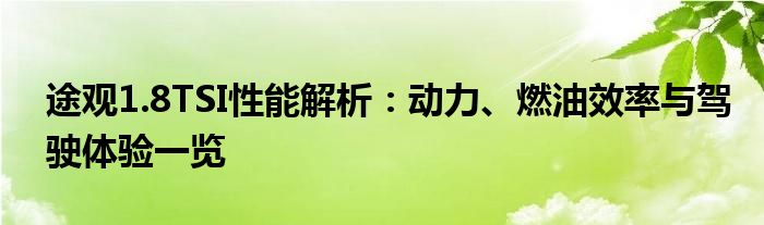 途观1.8TSI性能解析：动力、燃油效率与驾驶体验一览