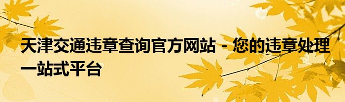 天津交通违章查询官方网站 - 您的违章处理一站式平台