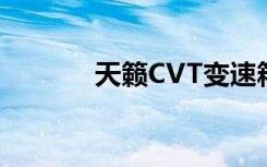 天籁CVT变速箱常见通病解析