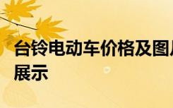 台铃电动车价格及图片大全：选购指南与车型展示