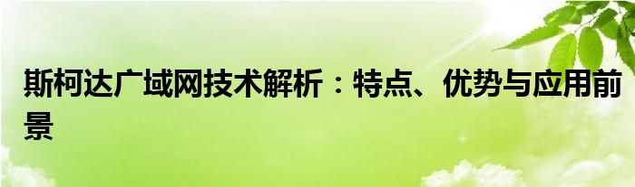 斯柯达广域网技术解析：特点、优势与应用前景