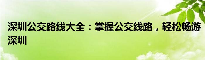 深圳公交路线大全：掌握公交线路，轻松畅游深圳