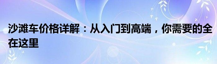 沙滩车价格详解：从入门到高端，你需要的全在这里