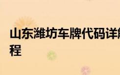 山东潍坊车牌代码详解：识别、规则与办理流程