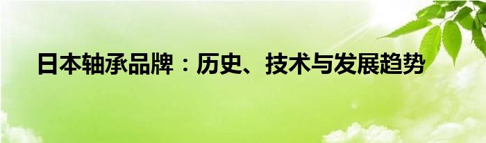 日本轴承品牌：历史、技术与发展趋势